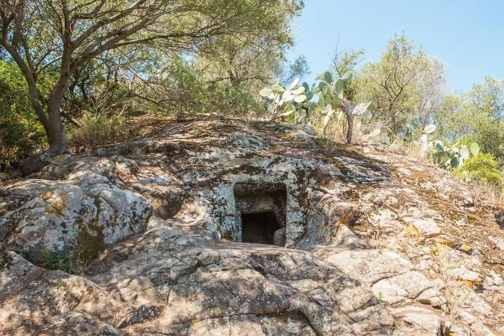 Villa Settimia A 50 Mt Dalla Spiaggia! Àrbatax 0*,  Italia