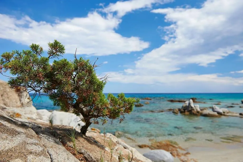 Villa Settimia A 50 Mt Dalla Spiaggia! Àrbatax